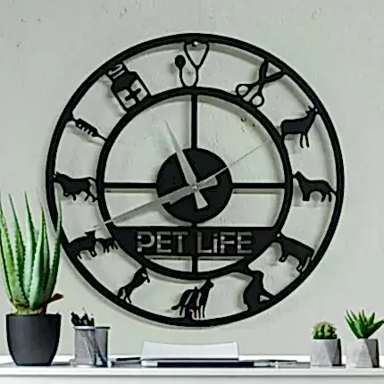 Veteriner hekimlerine özel LED ışıklı dekoratif duvar saati